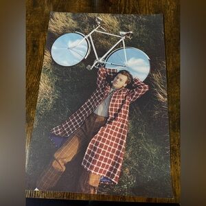 Harry Styles Red Houndstooth Long Coat Poster